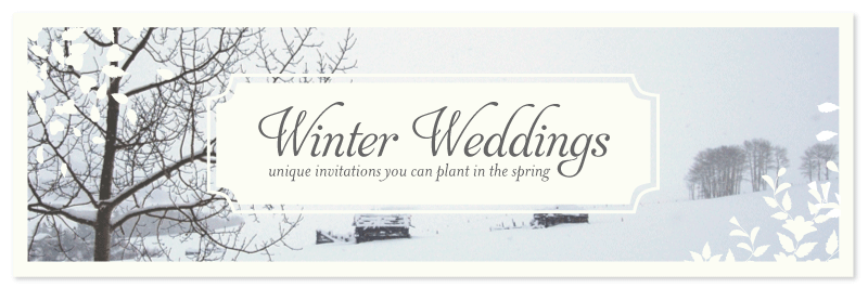 Winter Wedding Invitations Winter Wonderland Wedding Winter