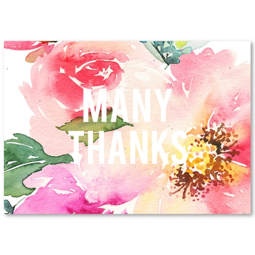 Seeded Paper Thank you cards on plantable paper ~ Exotic Blooms by ...